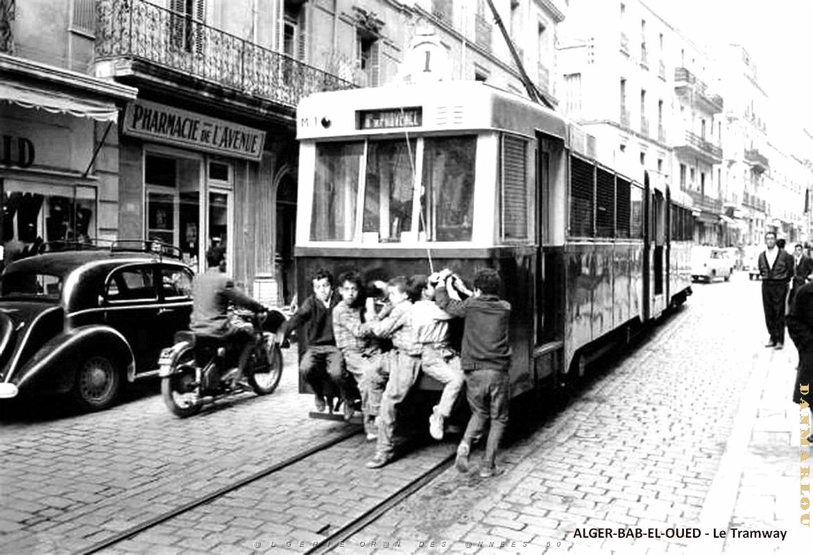 Alger-Bab-el-Oued - Tramway.jpg